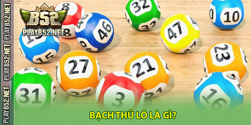 Bạch thủ lô là gì?