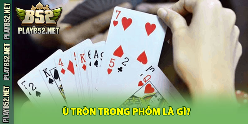 Ù Tròn Trong Phỏm Là Gì?